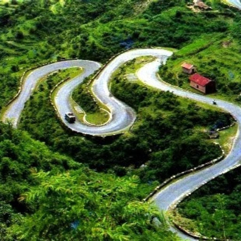 Nature's Retreat: Experience Unmatched Comfort at Haritha Hotel TSTDC