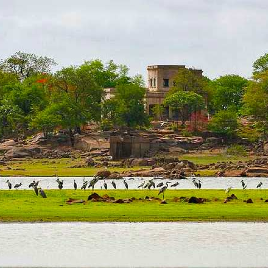Escape to Tranquility: Haritha Hotel TSTDC, Your Haven in Green Serenity