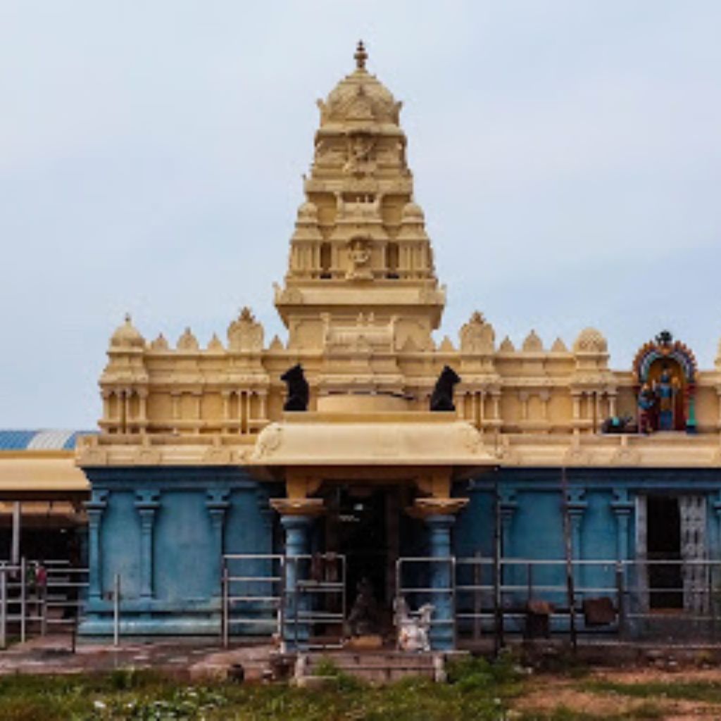Haritha Hotel TSTDC: Where Nature Meets Luxury, Your Green Getaway Awaits!